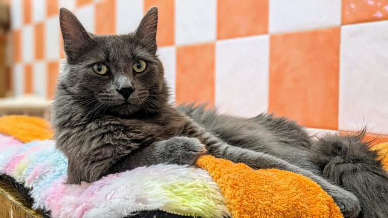 multimedia-foto93857-160-1