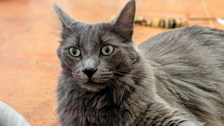 multimedia-foto93858-160-1