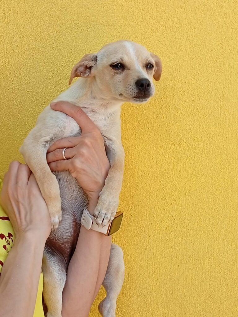 multimedia-foto93884-333-1