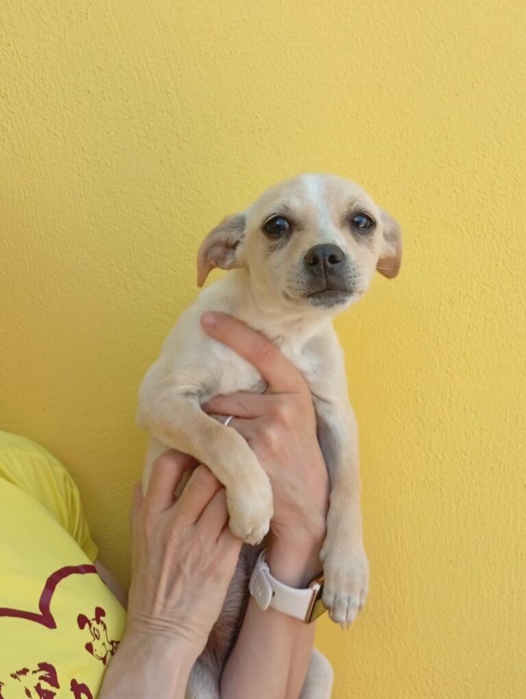 multimedia-foto93885-333-1