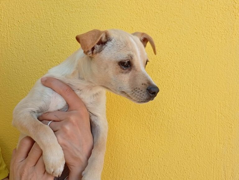 multimedia-foto93886-334-1