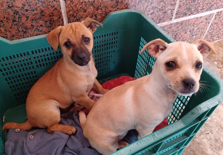 multimedia-foto93888-334-1