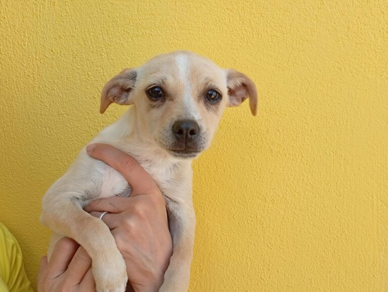 multimedia-foto93889-334-1