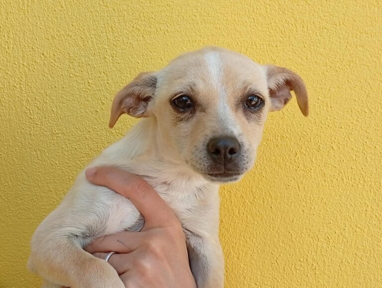 multimedia-foto93891-335-1