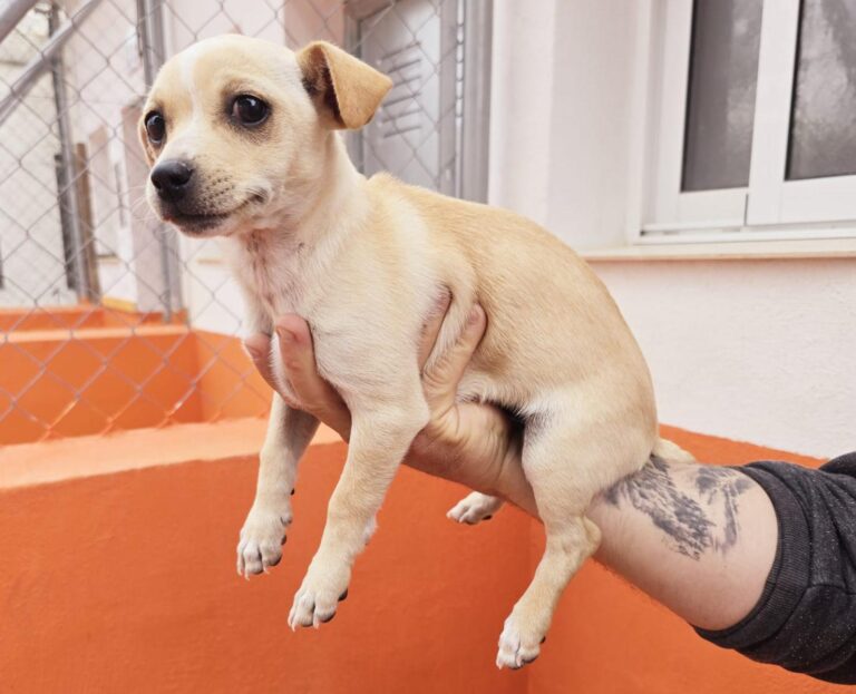 multimedia-foto93892-335-1