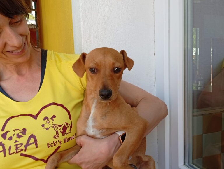 multimedia-foto93901-399-1