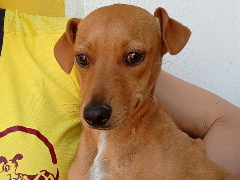 multimedia-foto93902-399-1