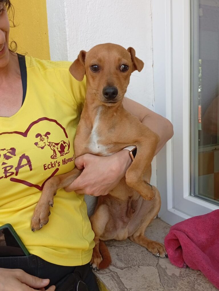 multimedia-foto93903-400-1