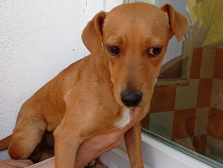 multimedia-foto93904-400-1