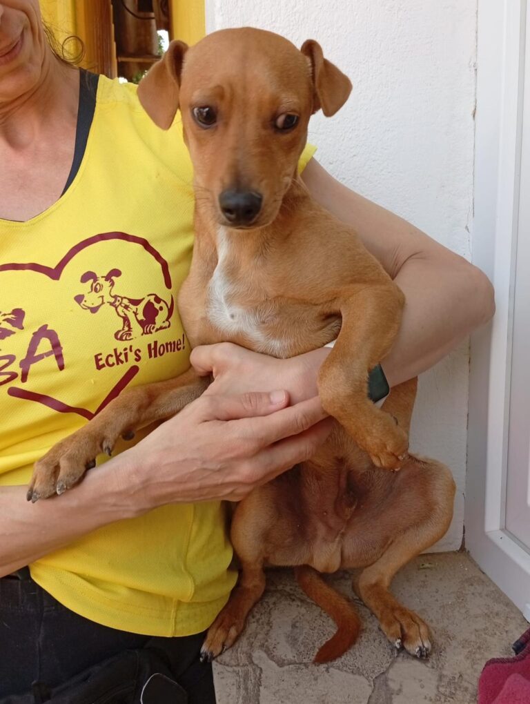 multimedia-foto93905-400-1