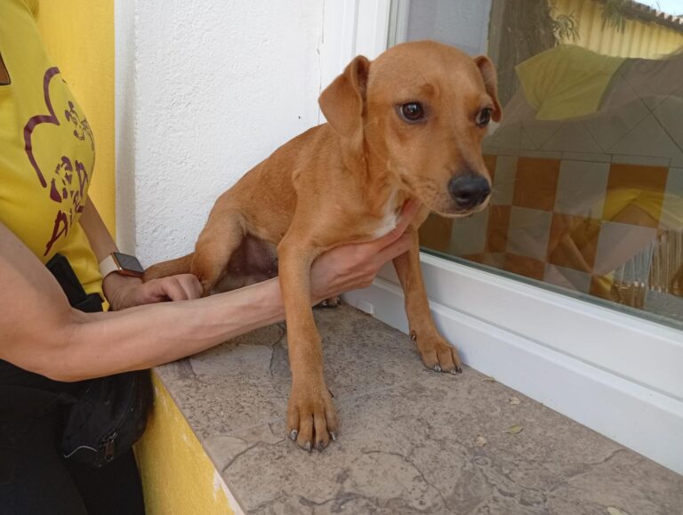 multimedia-foto93906-401-1