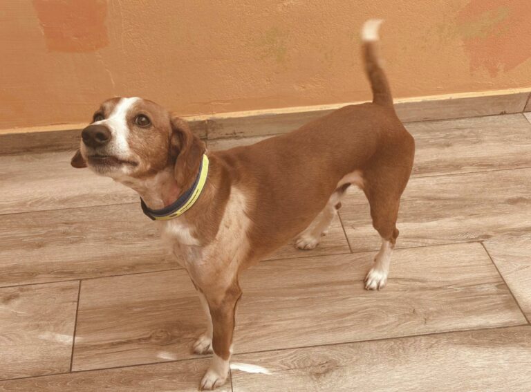 multimedia-foto93916-385-1