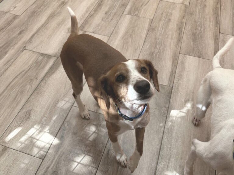 multimedia-foto93917-385-1