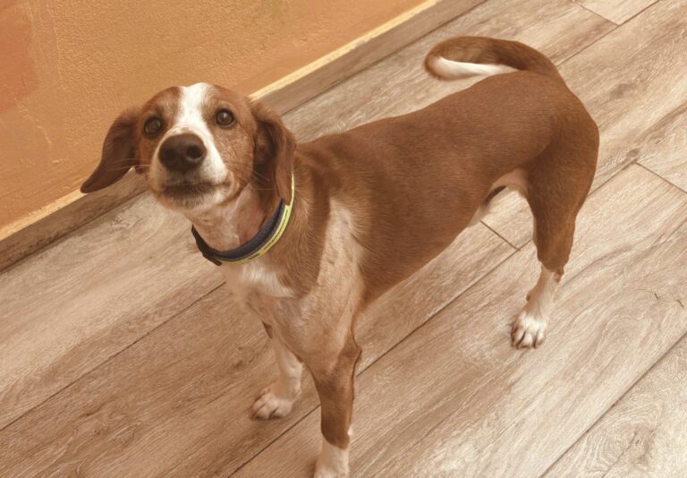 multimedia-foto93918-386-1