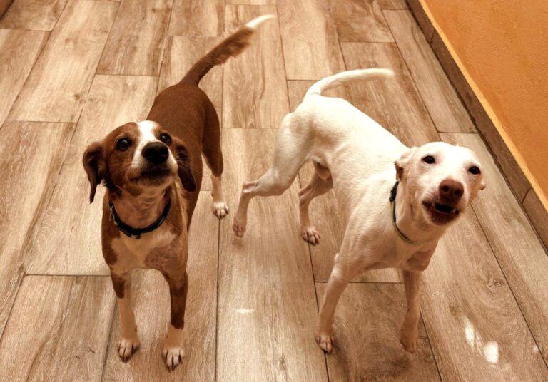 multimedia-foto93920-386-1