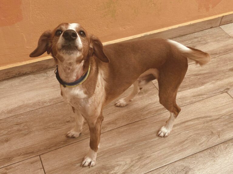 multimedia-foto93921-386-1