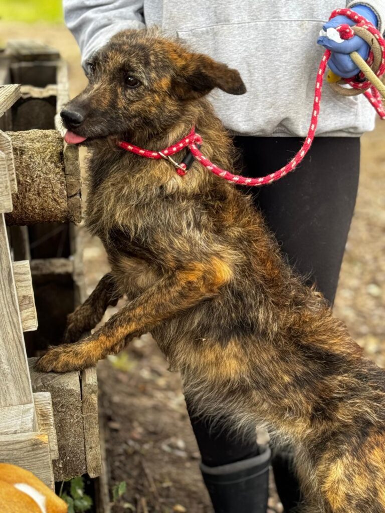 multimedia-foto93930-623-1