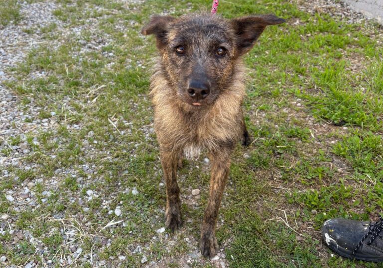 multimedia-foto93931-623-1