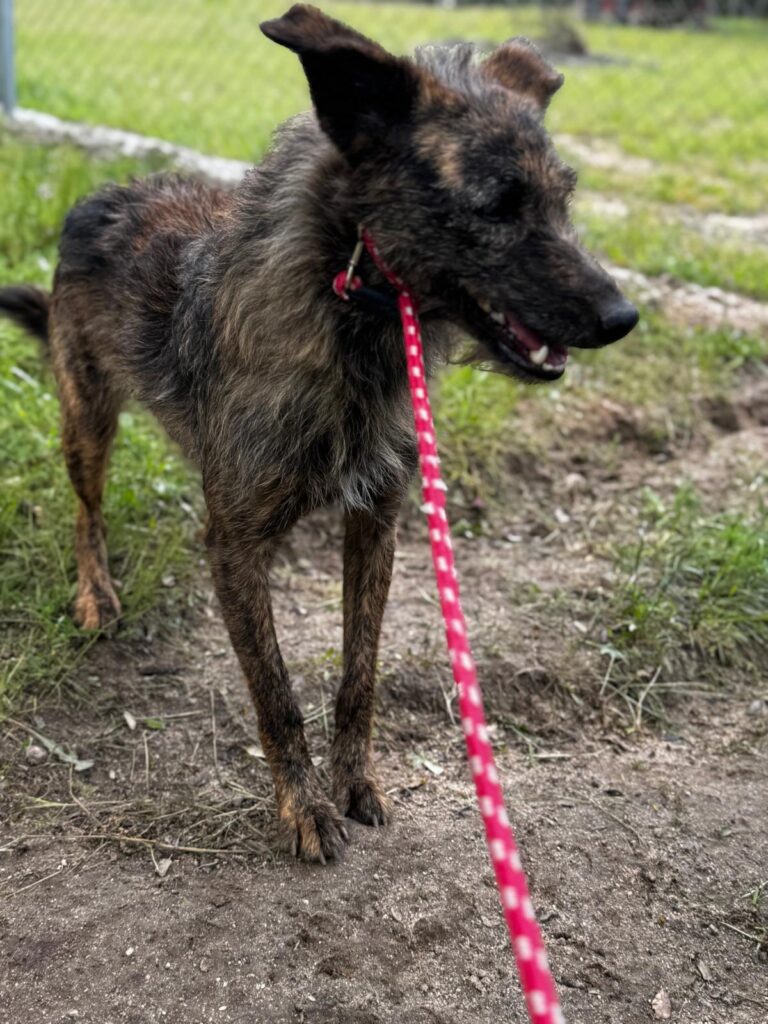 multimedia-foto93933-623-1