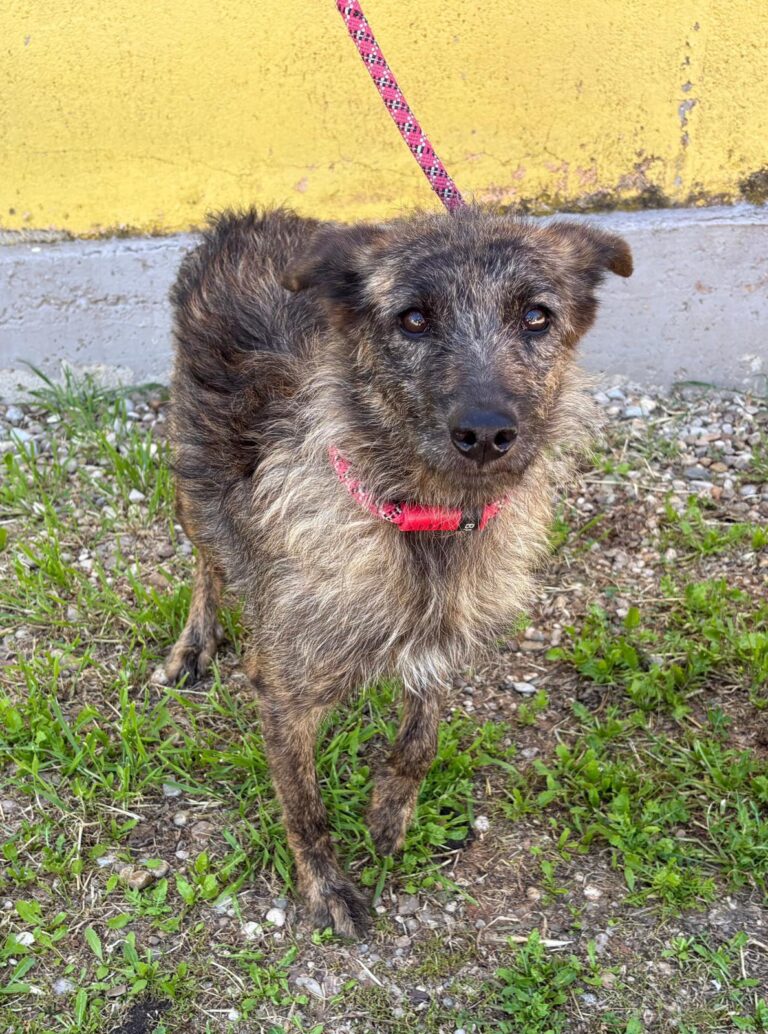 multimedia-foto93934-624-1