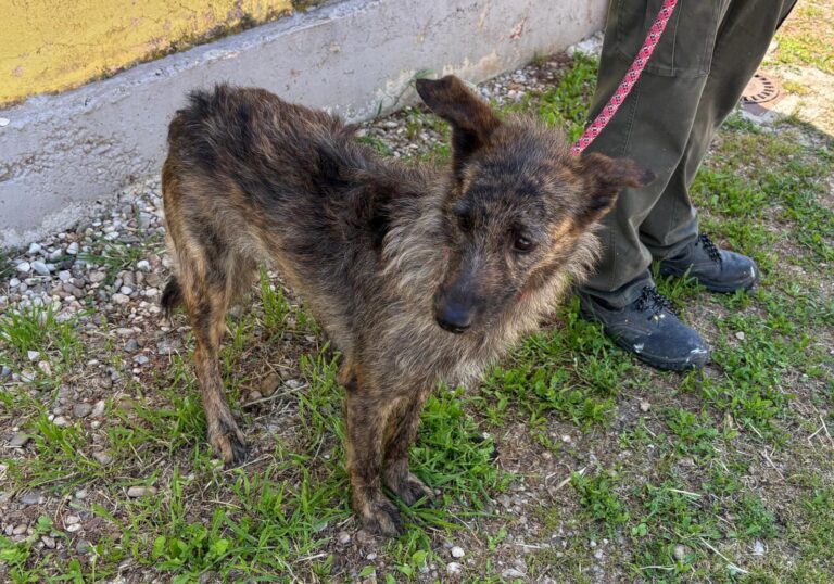 multimedia-foto93935-624-1