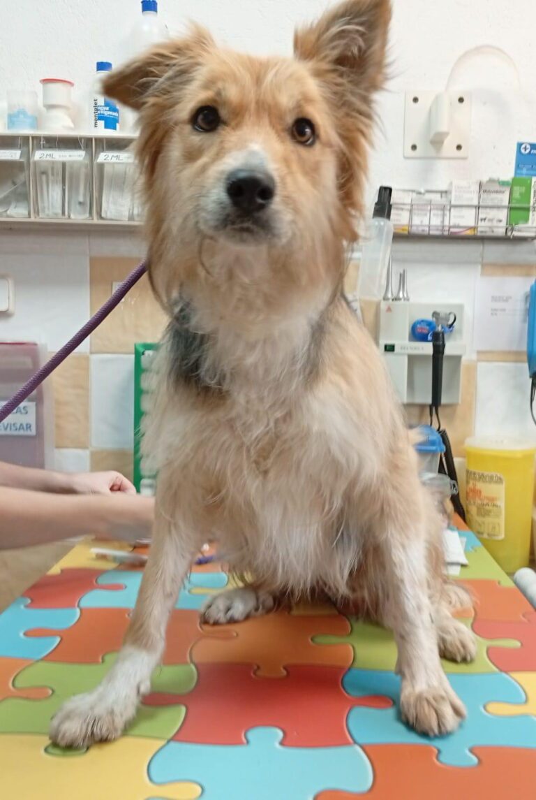 multimedia-foto93946-719-1