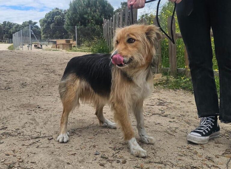 multimedia-foto93947-719-1