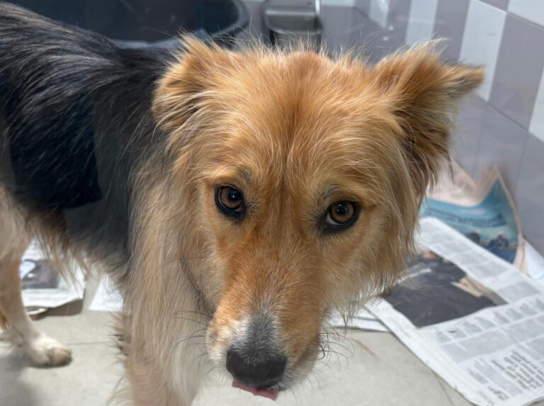 multimedia-foto93949-719-1