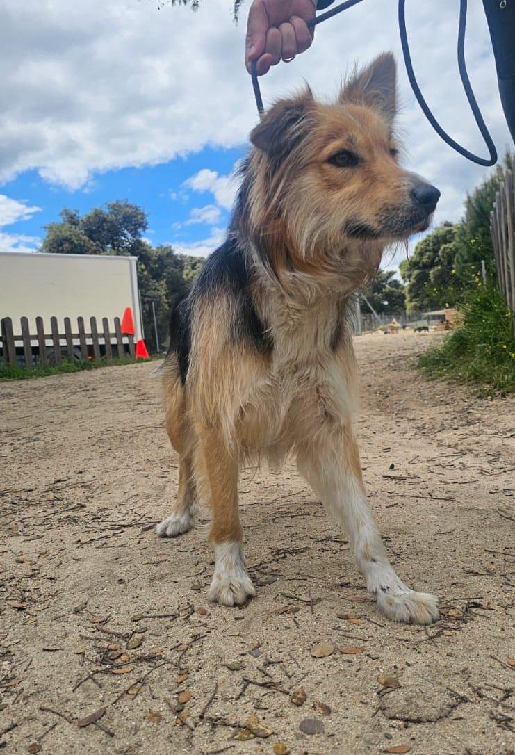 multimedia-foto93950-720-1