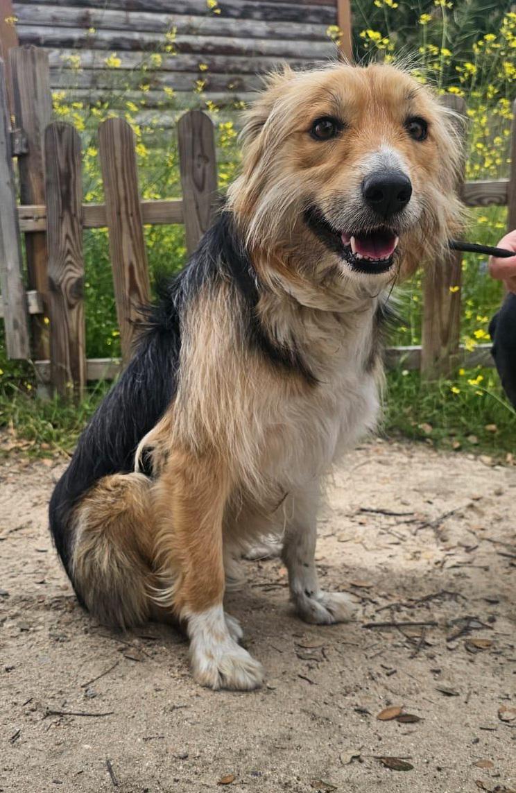 multimedia-foto93951-720-1