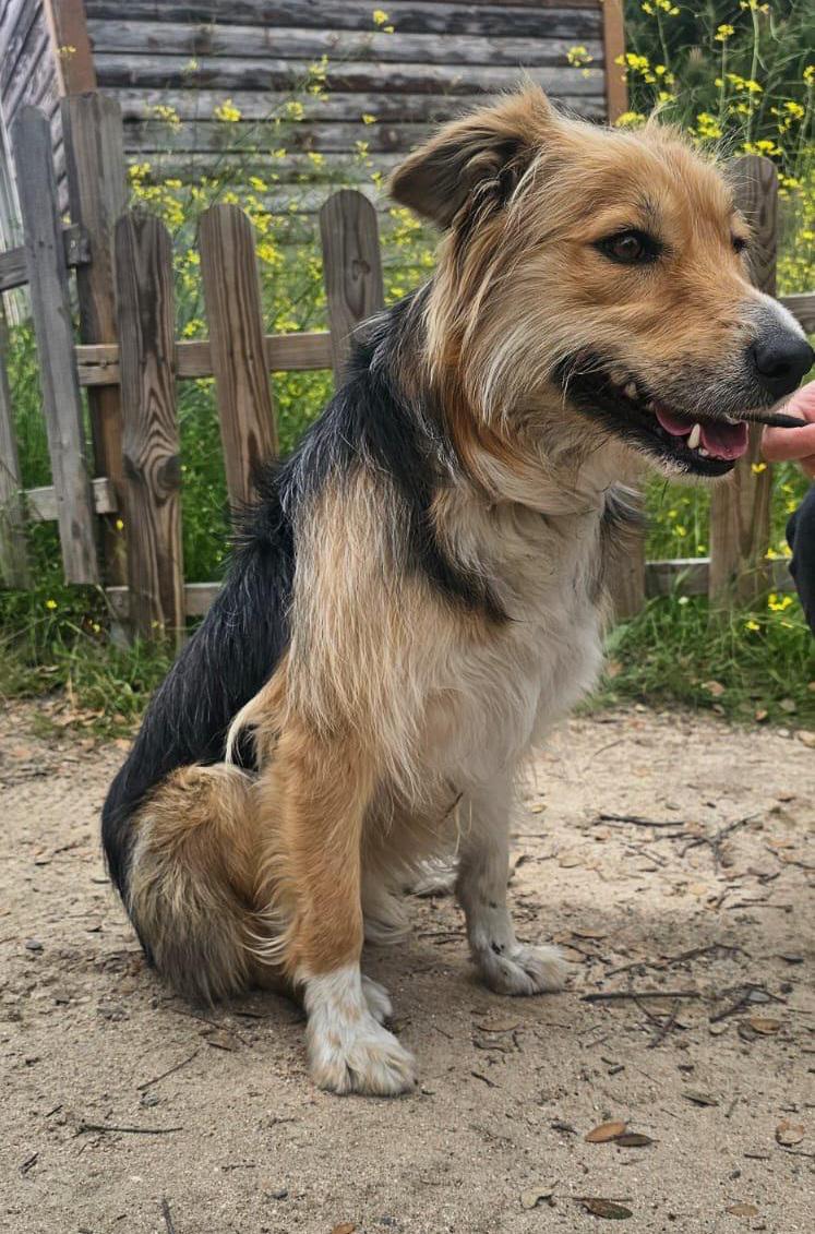 multimedia-foto93952-720-1