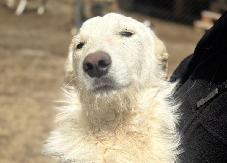 multimedia-foto93959-734-1