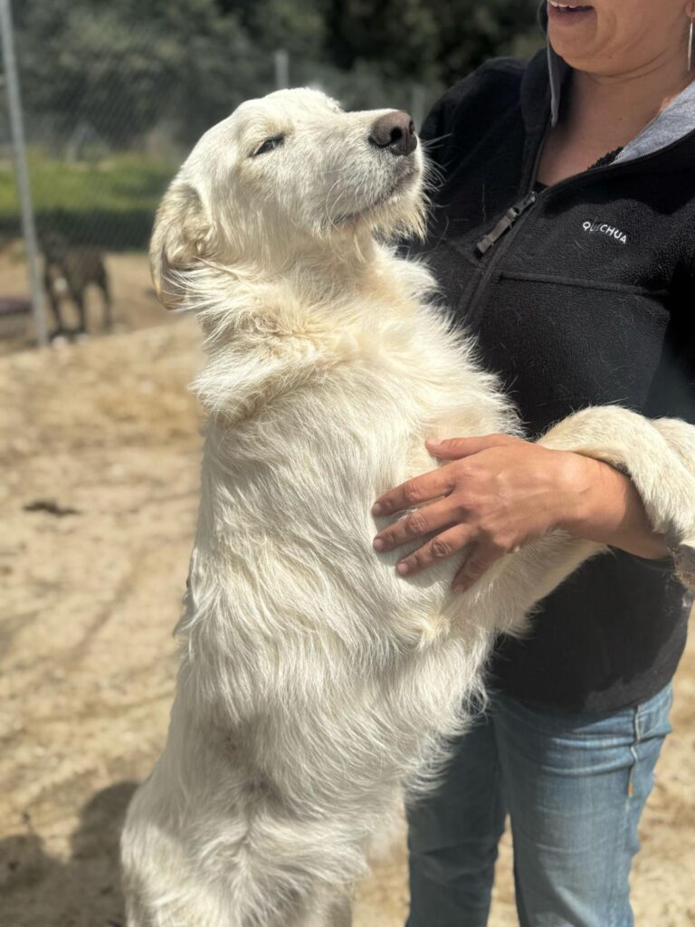 multimedia-foto93960-734-1