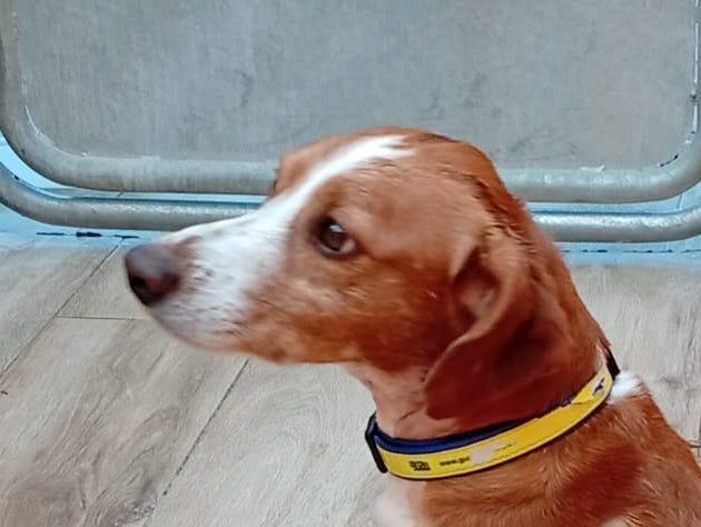 multimedia-foto93987-754-1