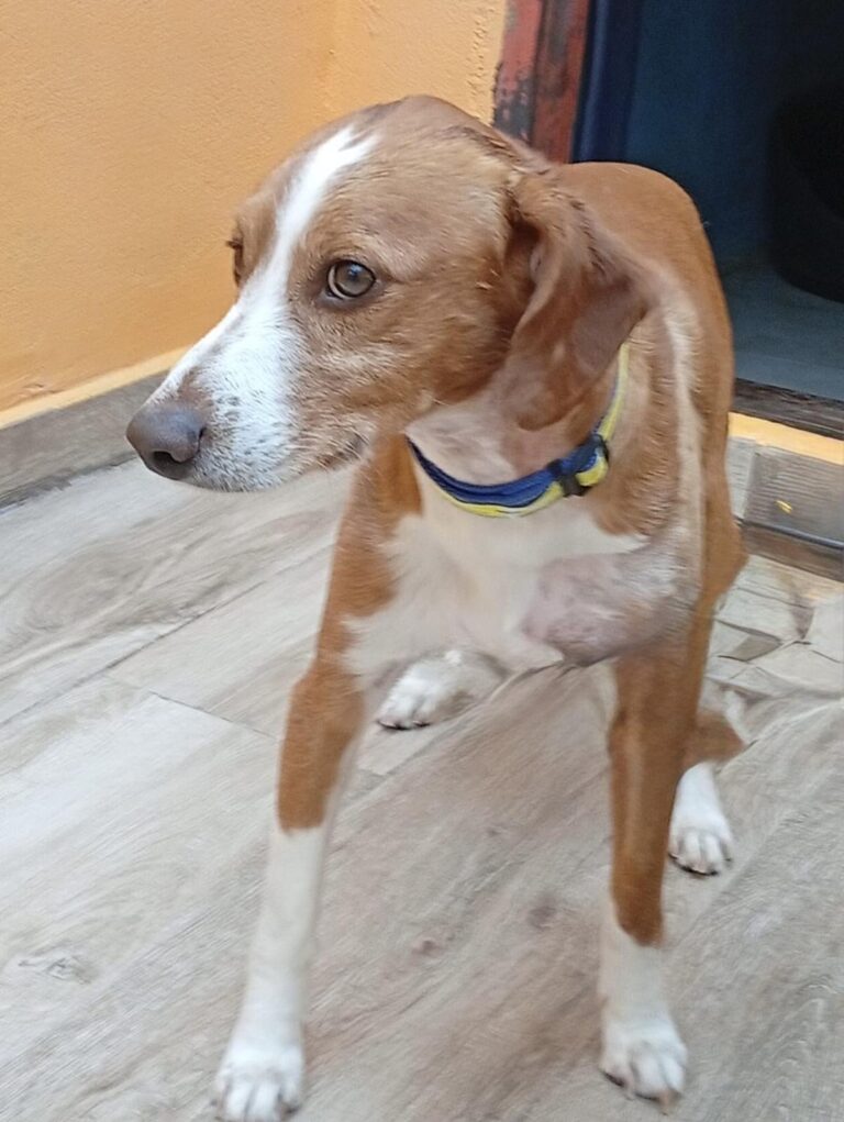 multimedia-foto93989-754-1