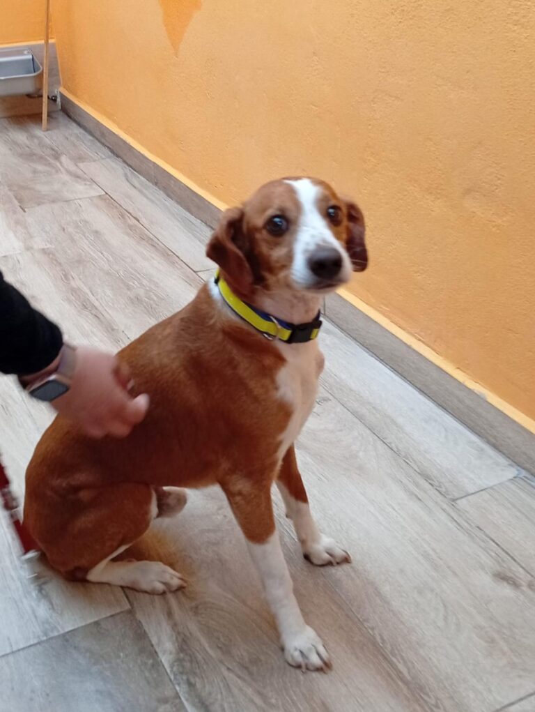 multimedia-foto93990-754-1