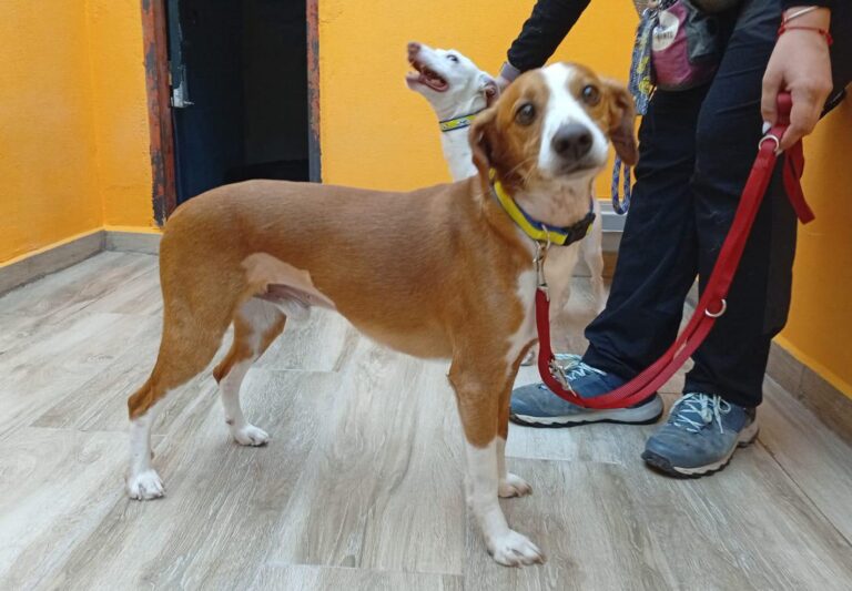 multimedia-foto93991-755-1