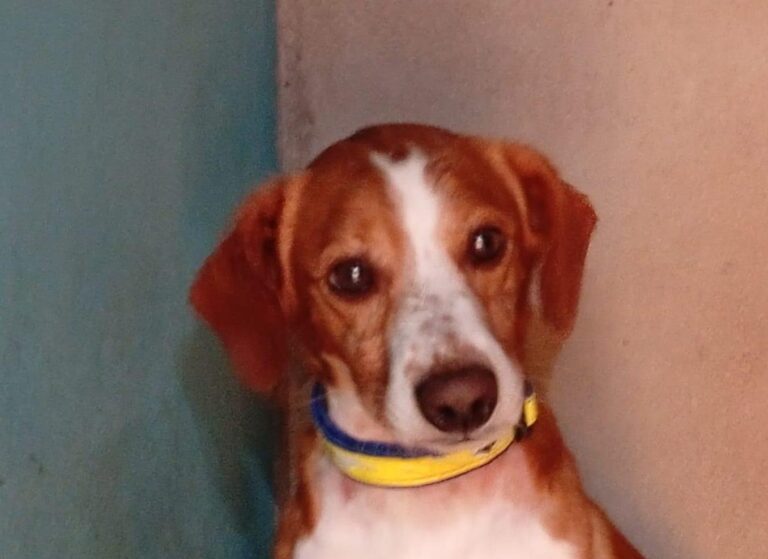 multimedia-foto93992-755-1