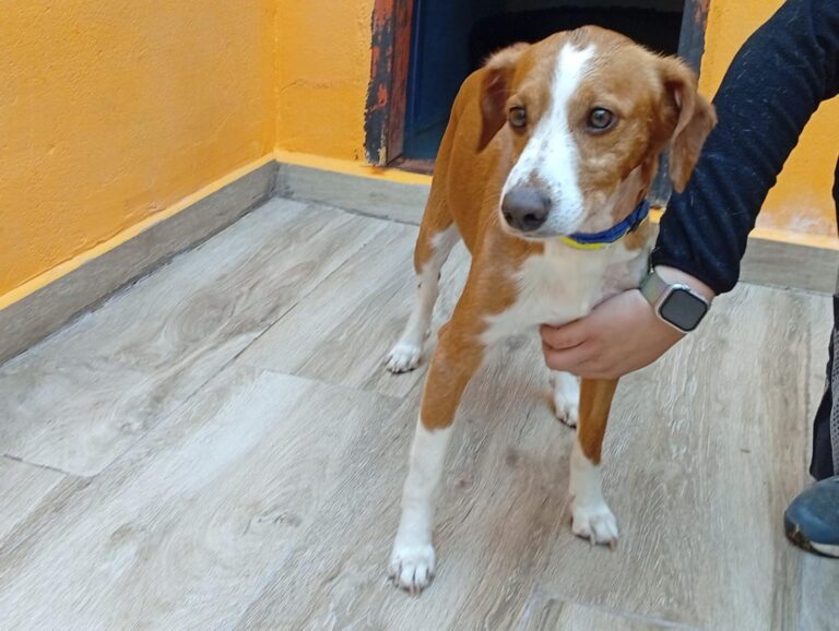 multimedia-foto93993-755-1