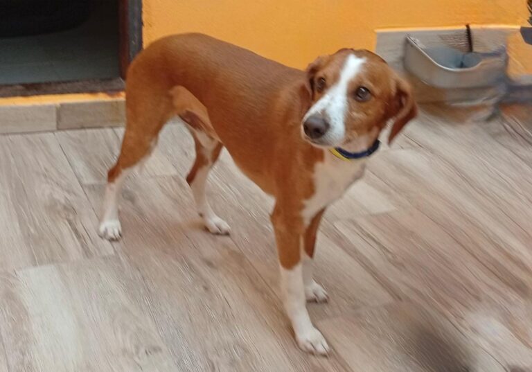 multimedia-foto93994-755-1