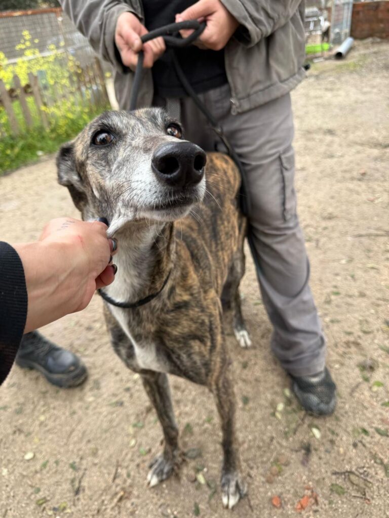 multimedia-foto93996-270-1