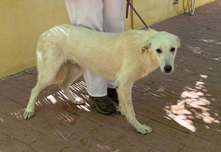 multimedia-foto94001-675-1