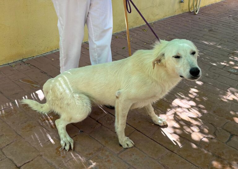 multimedia-foto94002-675-1