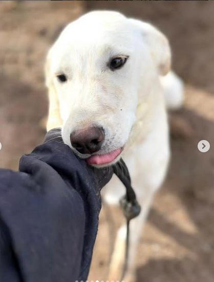 multimedia-foto94003-676-1