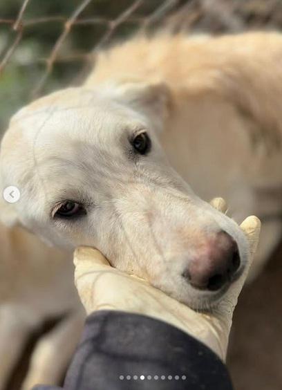 multimedia-foto94004-676-1