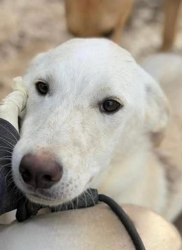 multimedia-foto94006-677-1