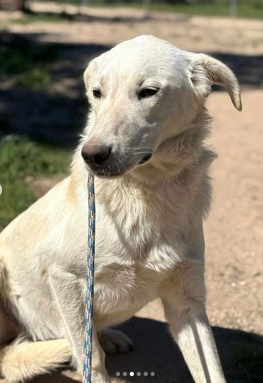 multimedia-foto94007-677-1