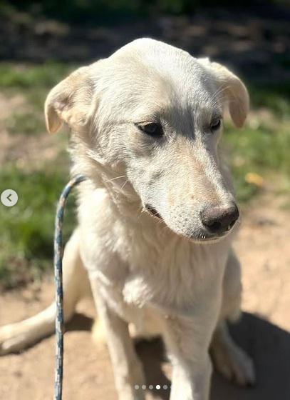 multimedia-foto94008-677-1