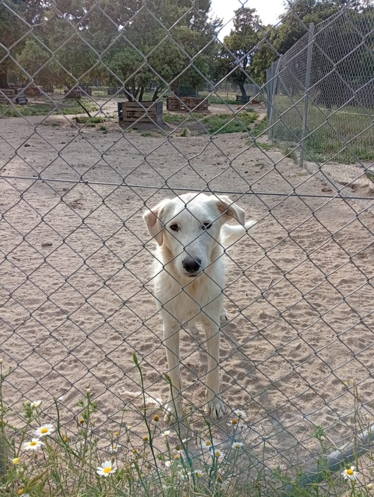 multimedia-foto94009-893-1