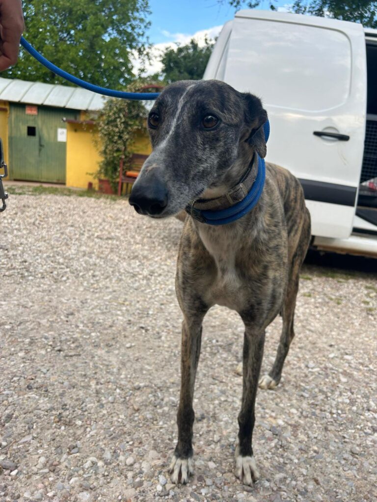 multimedia-foto94044-272-1